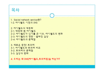 대중문화와 삶-Social Network Service(SNS)에 투영된 대중의 욕망-2