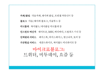 대중문화와 삶-Social Network Service(SNS)에 투영된 대중의 욕망-5