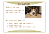 선과예술-현대사회의 삶과 선(웰빙, 요가와 명상, 선의 수행과 심리치료)-12