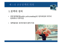 [정치학] 제 11장 공공정책결정론-3