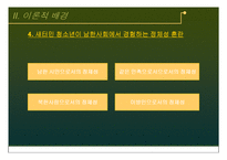 [사회복지] 북한이탈주민(새터민) 청소년의 한국사회 적응-자아정체성을 중심으로-12