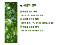[환경학] 독일의 환경운동과 환경도시-11