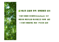 [환경학] 독일의 환경운동과 환경도시-17