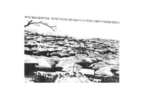 풍속사-근대 도시화와 풍광-17