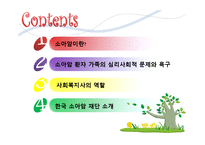 [의료사회복지] 의료사회복지 실천영역-소아암-2