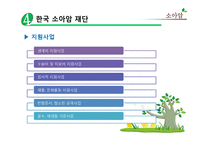 [의료사회복지] 의료사회복지 실천영역-소아암-10