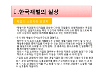 [한국경제론] 한국 재벌 성장과정과 문제점-2