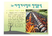자전거 정책-한국과 네덜란드 비교 및, 한강 르네상스사업 분석-19