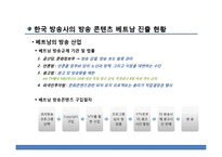 [국제문화] 한국, 베트남의 문화콘텐츠 활성화 방안-드라마를 중심으로-8