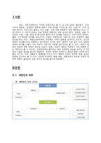 [사회과학] 한국정부와 미국정부 비교-3
