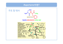 [식품영양] 인공감미료 `aspartame`아스파탐 안전성 분석-7