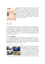 [소비자행동론] 광고의 소구-8