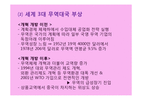 [중국경제] 변화와 지속 성장가능성에 관한 고찰-5