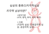 시의 지각적, 비유적, 상징적 심상-5