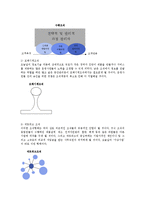 조직의 구조와 설계-7