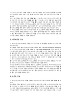 [멀티미디어저작도구 툴북]멀티미디어저작도구 툴북의 정의,분류,특징,데이터파일형식, 멀티미디어저작도구 툴북과 오소웨어의 비교-7