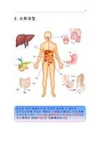 [실험수업교재] 음식물은 어떻게 소화되나요?-3