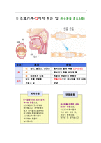 [실험수업교재] 음식물은 어떻게 소화되나요?-5