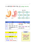 [실험수업교재] 음식물은 어떻게 소화되나요?-6
