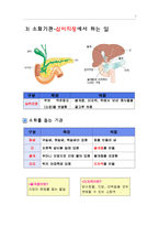 [실험수업교재] 음식물은 어떻게 소화되나요?-7