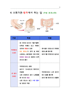 [실험수업교재] 음식물은 어떻게 소화되나요?-8