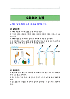 [실험수업교재] 음식물은 어떻게 소화되나요?-11