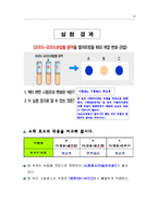 [실험수업교재] 음식물은 어떻게 소화되나요?-12