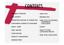 2011 H&M 매장 분석 및 SPA 브랜드 분석-2