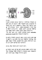 APN 급성신우신염 report-3
