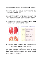 APN 급성신우신염 report-5