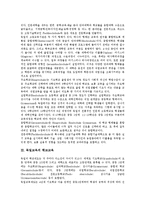 [독일교육]독일교육의 교육제도, 독일교육의 학교교육, 독일교육의 킨더가르텐, 독일교육의 교육정보화, 독일교육의 대학 분석-4