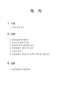 유한킴벌리 `화이트`의 성공요인 분석-2