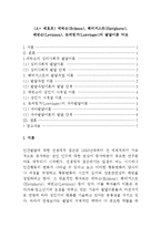 (A+ 레포트) 에릭슨(Erikson), 헤비거스트(Havighurst), 레빈슨(Levinson), 로에빙거(Loevinger)의 발달이론 비교-1