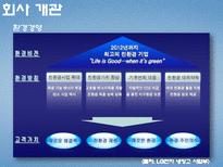 환경마케팅-LG전자 냉장고 디오스와 삼성전자 냉장고 지펠 비교 후 마케팅 전략제시-12