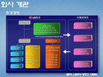 환경마케팅-LG전자 냉장고 디오스와 삼성전자 냉장고 지펠 비교 후 마케팅 전략제시-13