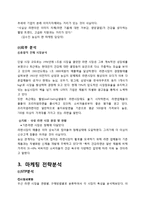 농심 신라면 블랙 신상품 마케팅 전략-9