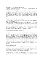 [국제통상] 브라질의 통상정책-7