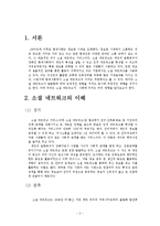 [경제학] 소셜 네트워크의 양면성이 사회에 미치는 영향과 개선점-3