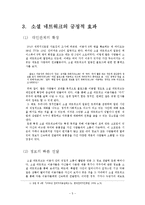 [경제학] 소셜 네트워크의 양면성이 사회에 미치는 영향과 개선점-5