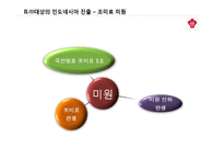 [해외직접투자론](주)대상 `미원`의 인도네이사 직접 투자전략론-7