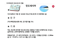 [해외직접투자론](주)대상 `미원`의 인도네이사 직접 투자전략론-9