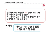 [해외직접투자론](주)대상 `미원`의 인도네이사 직접 투자전략론-19