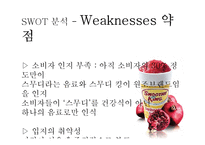 [마케팅 원론] 스무디킹 마케팅 전략-10
