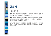 [소비자행동론] `패러디 광고`가 소비자에게 미치는 영향-6
