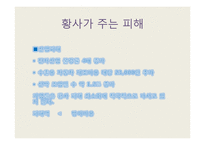 [국제환경] 황사문제의 국제적책임과 해결방안-11
