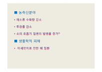[국제환경] 황사문제의 국제적책임과 해결방안-13