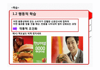[소비자행동론] 소비자 인지적, 행동적 학습 연구-5