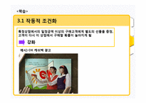 [소비자행동론] 소비자 인지적, 행동적 학습 연구-8