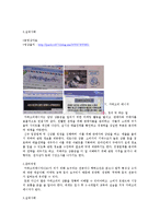 사회과학계열 학과를 기초로 하는 이색직업 탐구-5