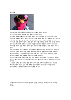 [성과문화] 일부일처제 유효성 논라-소설`아내가 결혼했다` 중심으로-7
